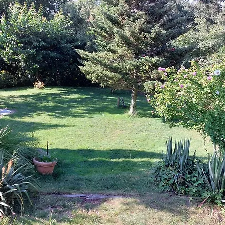 펜션 Chill Haus Mit Sauna Und Kamin